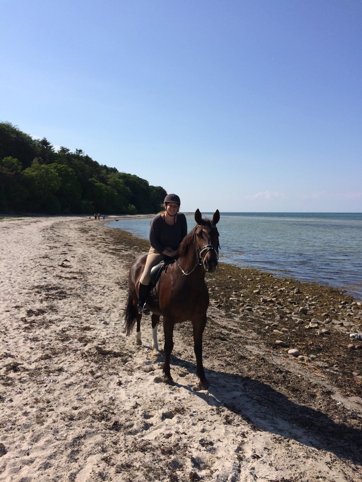 Oldenborg Etasja af Hvarre billede 26