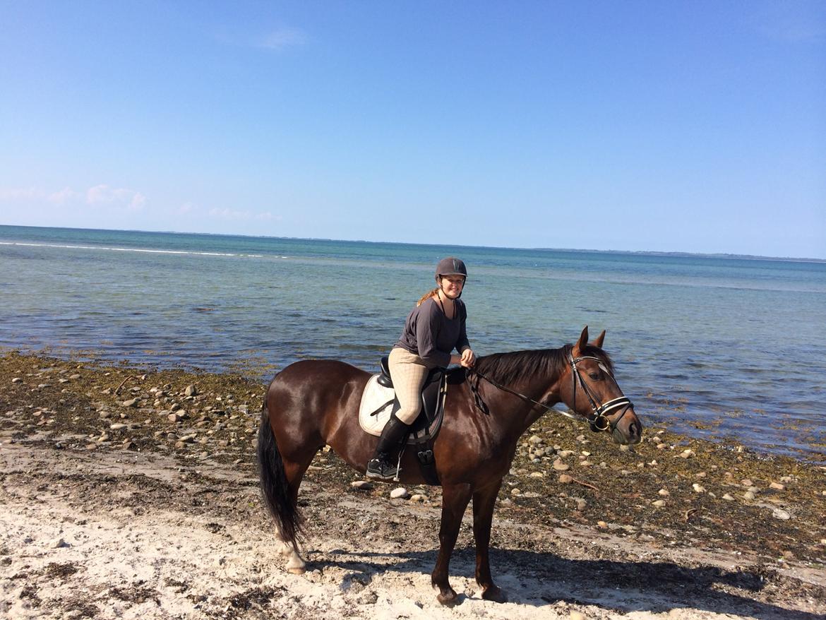 Oldenborg Etasja af Hvarre billede 28