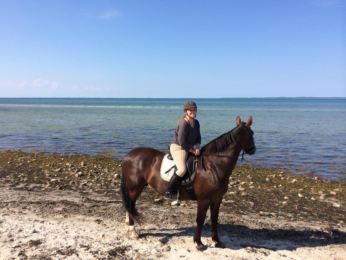 Oldenborg Etasja af Hvarre billede 29