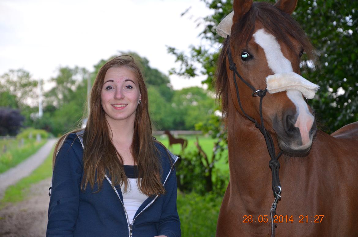 DSP Team Vesterskov's Chilli billede 1