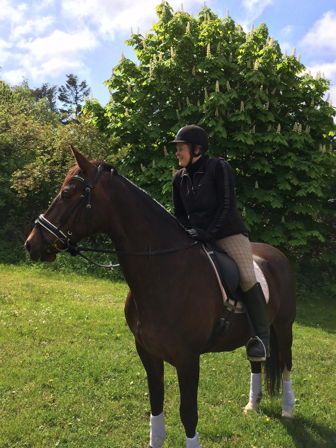 Oldenborg Etasja af Hvarre billede 30