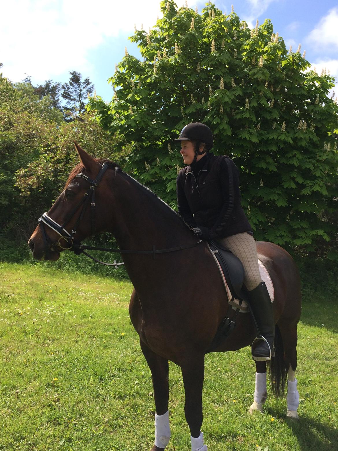 Oldenborg Etasja af Hvarre billede 31