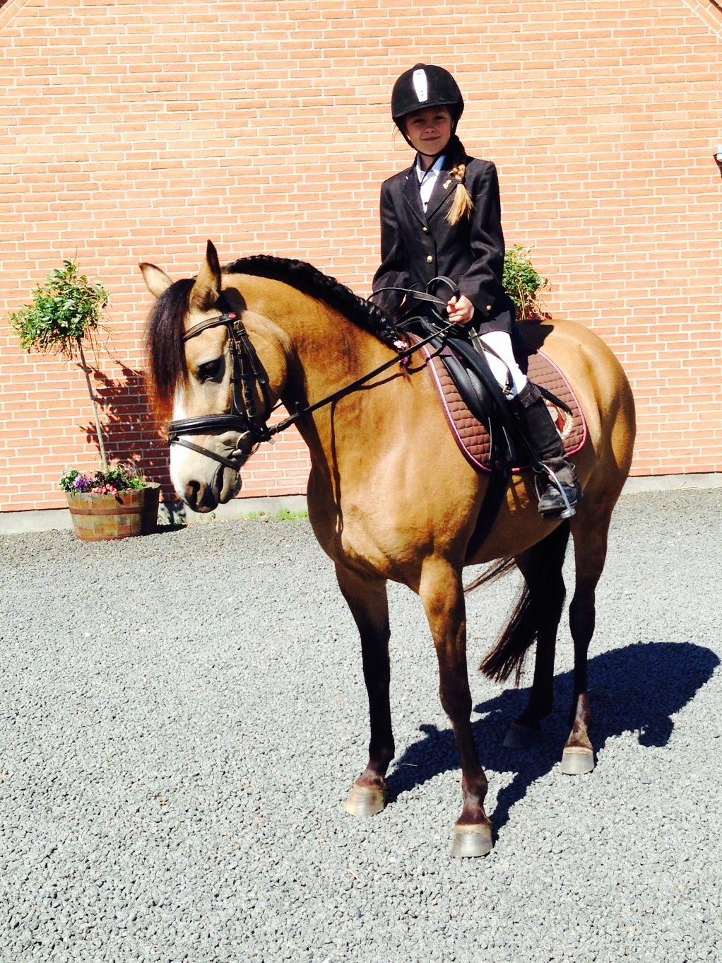 Anden særlig race Damgårds Maggie billede 19