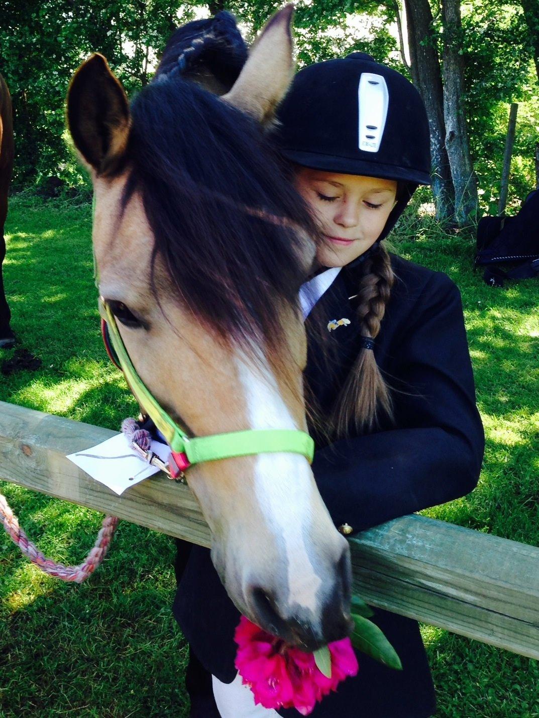 Anden særlig race Damgårds Maggie billede 22