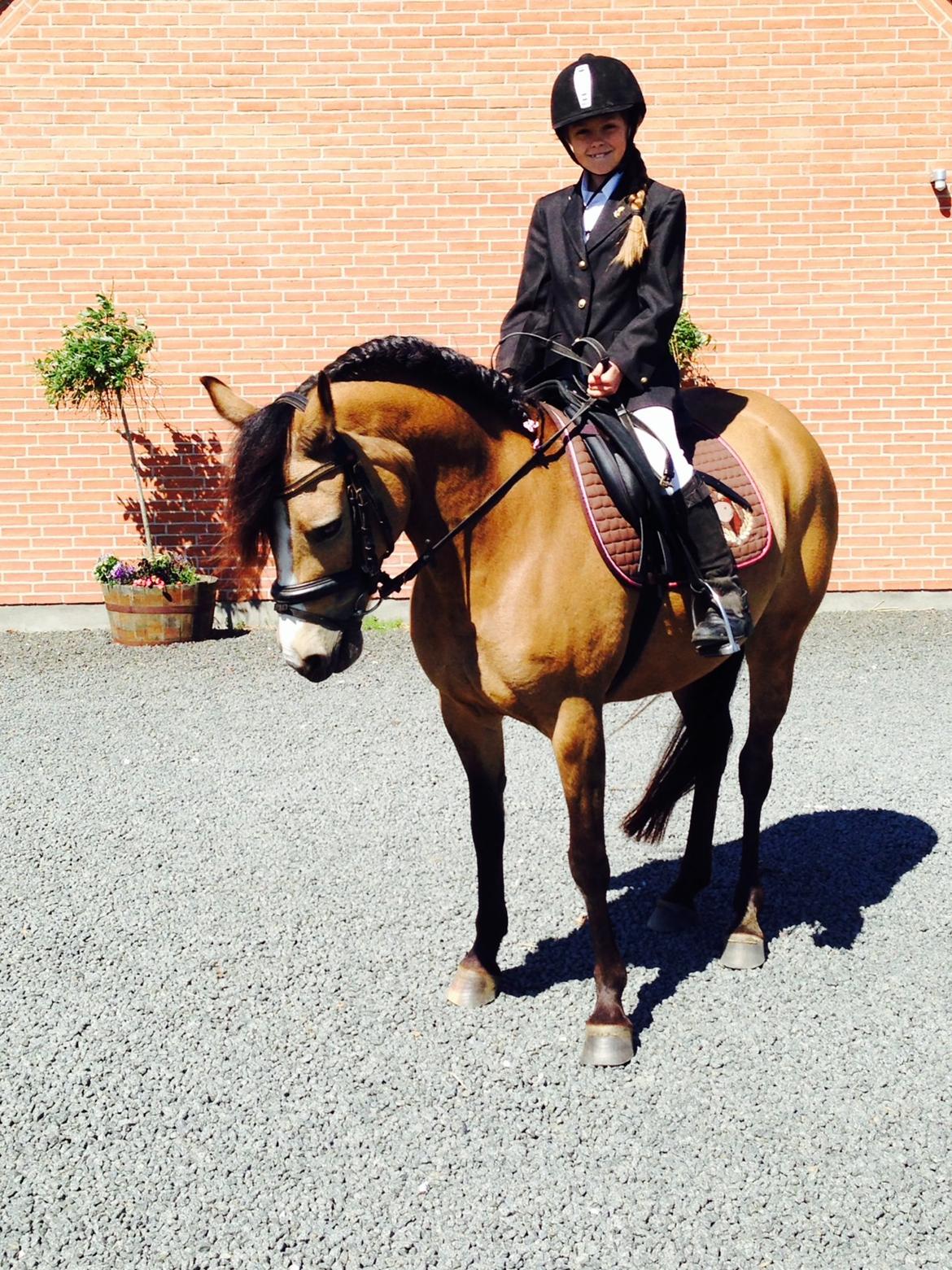 Anden særlig race Damgårds Maggie billede 23