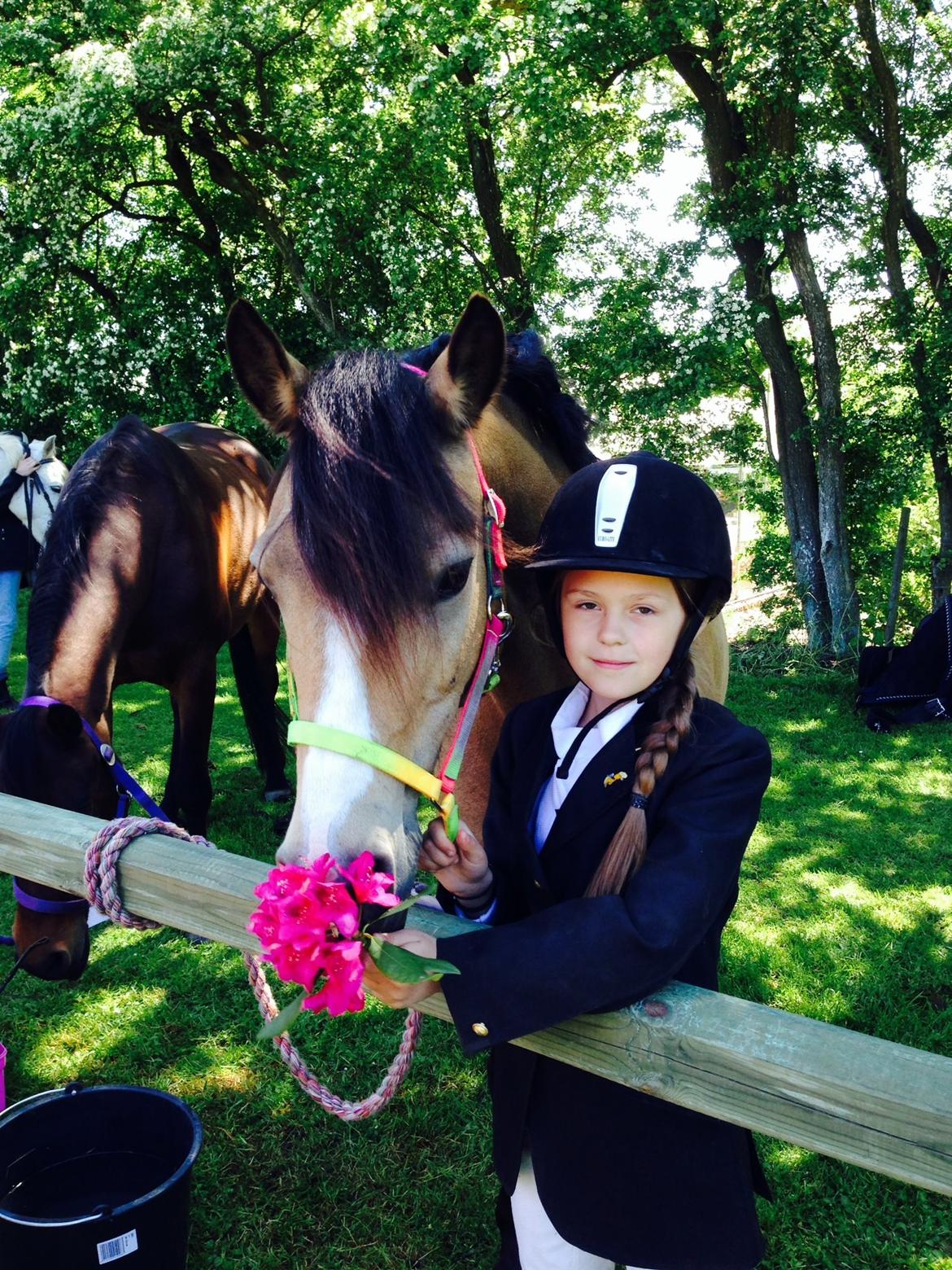 Anden særlig race Damgårds Maggie billede 25