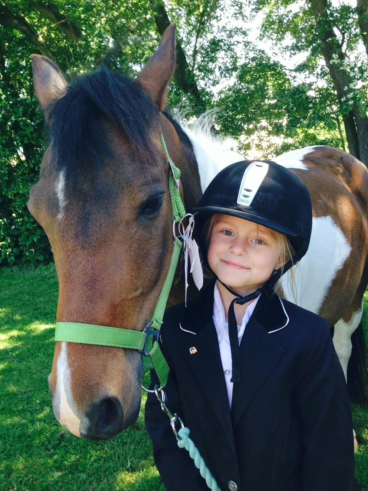 Anden særlig race Armani  billede 15