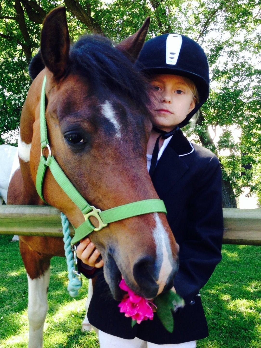 Anden særlig race Armani  - Dyreskue, ådalen sommer '14 billede 16