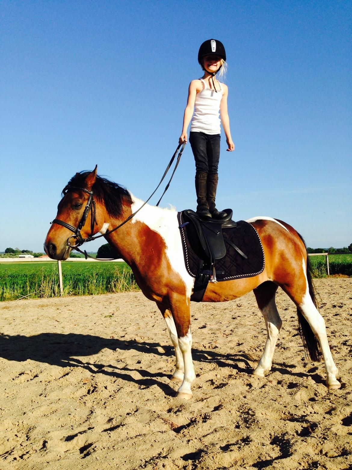 Anden særlig race Armani  - Pippi og Armani sommer '14 billede 18