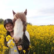 Tinker ziggi stardust