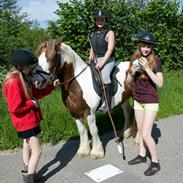 Tinker ziggi stardust