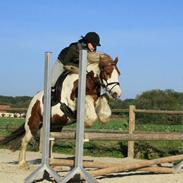 Tinker ziggi stardust