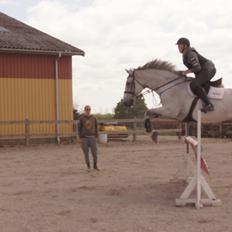 Holstener QUORP'S CADEAU