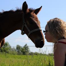 Anden særlig race Nautrup´s Kasmir