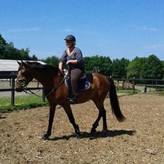 Frederiksborg Nytoftgaards Anastacia