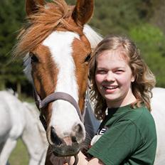 Pinto Savannah Breeze