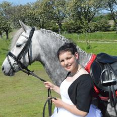 Welsh Partbred (Sec F) Bakkegaarden's Kira ''Grisen''