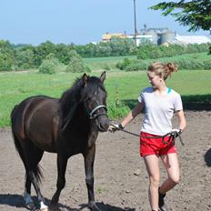 Anden særlig race Zantos