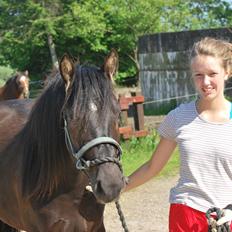 Anden særlig race Zantos