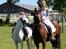 Connemara Quiva <3 - Verdens bedste <3 - 29/5-14