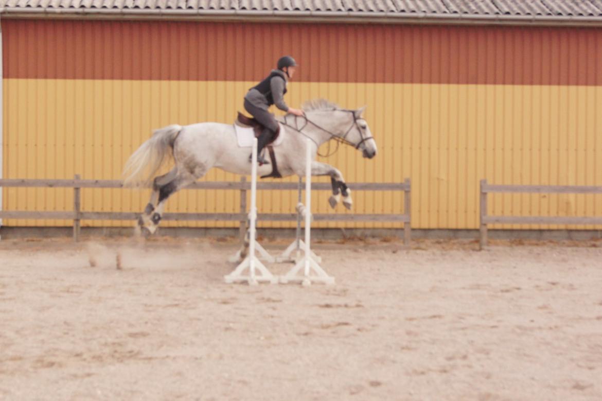 Holstener QUORP'S CADEAU billede 15