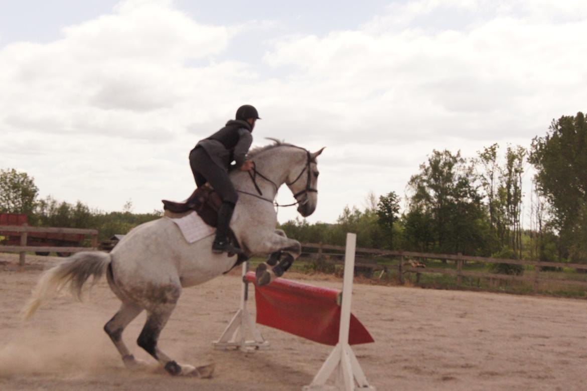 Holstener QUORP'S CADEAU billede 16