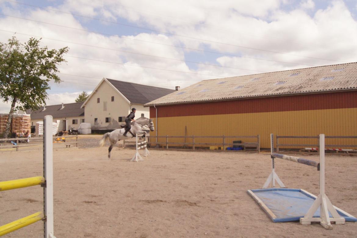 Holstener QUORP'S CADEAU billede 17