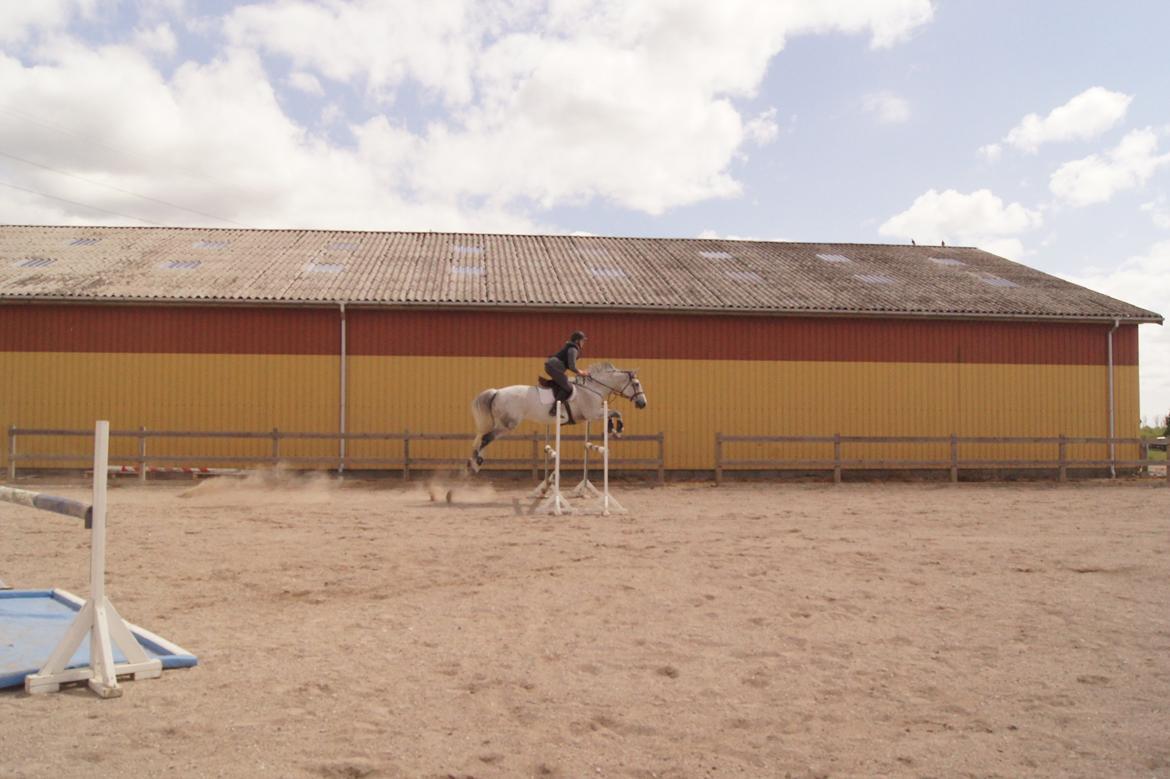 Holstener QUORP'S CADEAU billede 19