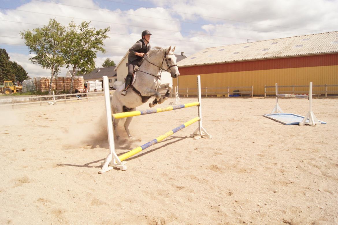 Holstener QUORP'S CADEAU - cadeau tænker bare rid dog ordentligt for fanden billede 23
