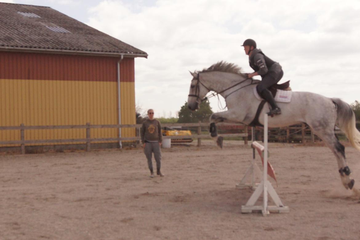 Holstener QUORP'S CADEAU billede 2