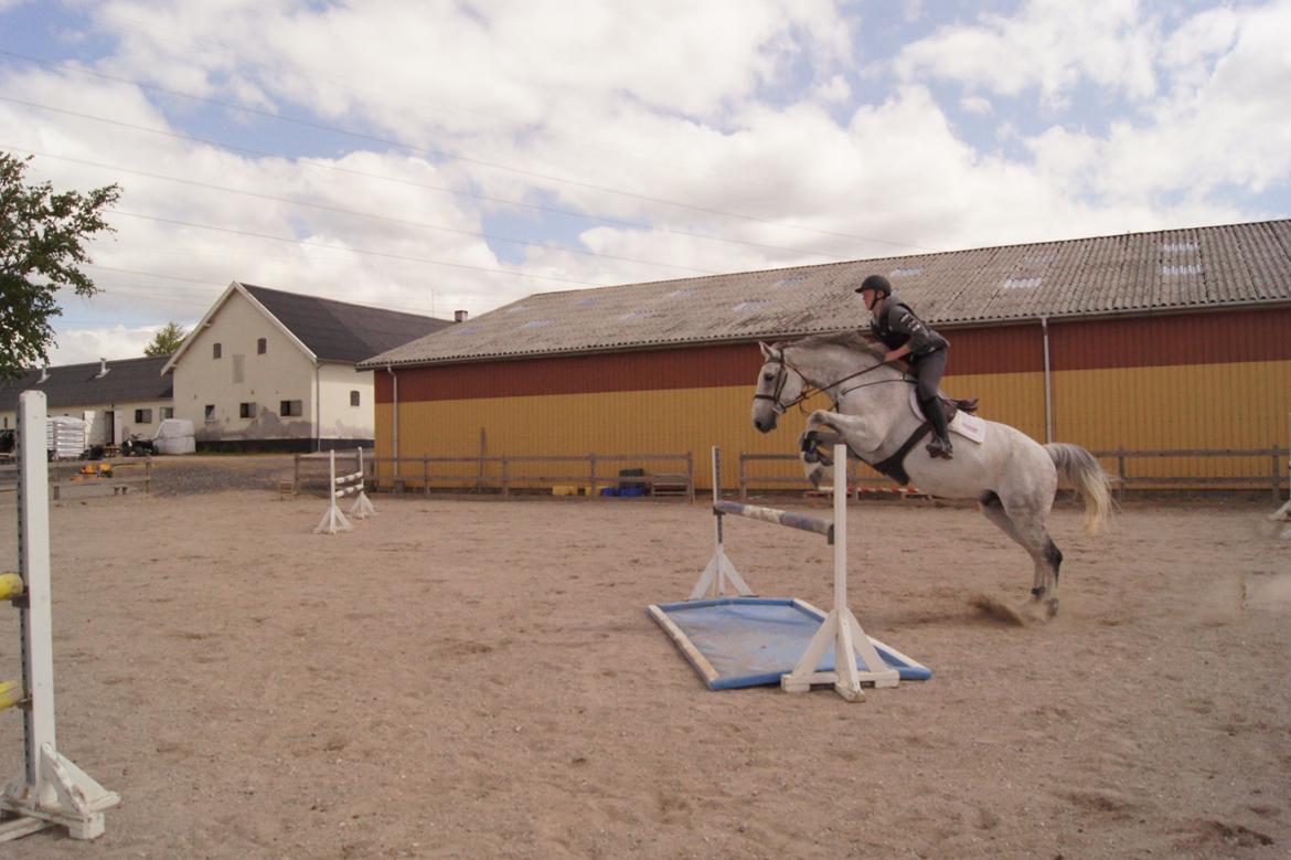 Holstener QUORP'S CADEAU billede 21