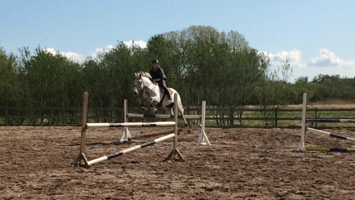 Holstener QUORP'S CADEAU billede 18