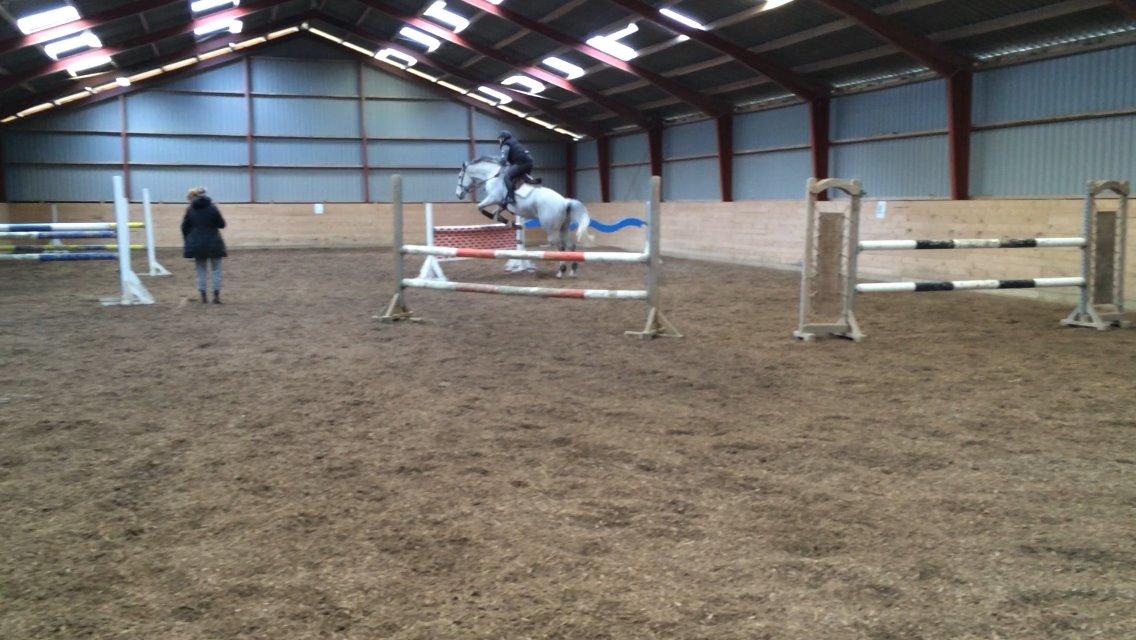 Holstener QUORP'S CADEAU billede 22