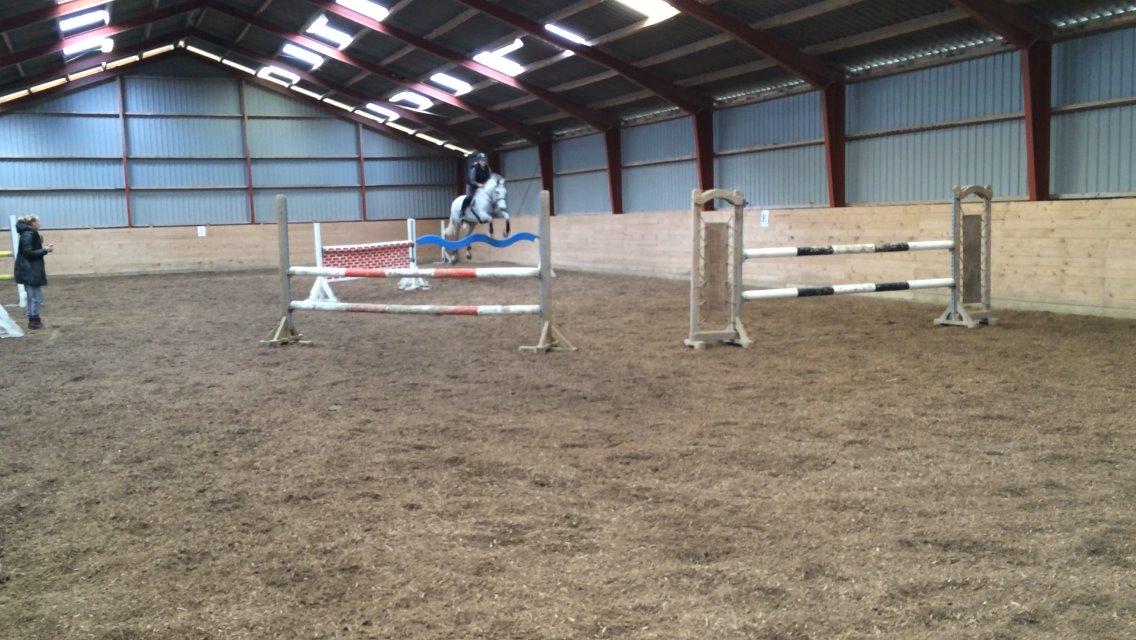 Holstener QUORP'S CADEAU billede 25