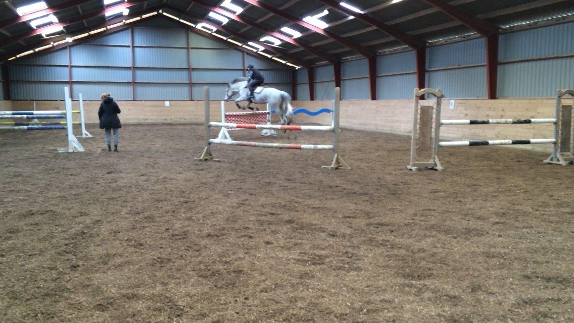 Holstener QUORP'S CADEAU billede 24