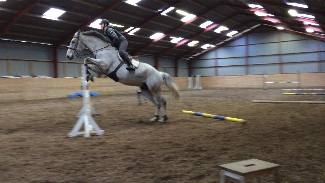 Holstener QUORP'S CADEAU billede 27