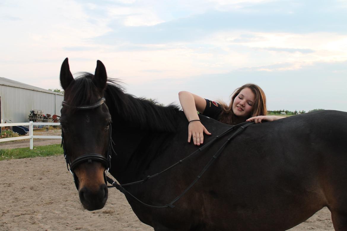 Hollandsk Sportspony NAPIRAI - Elsker dig pons.<3 billede 39