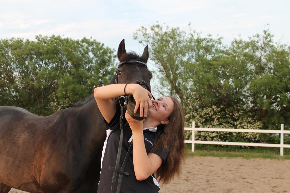 Hollandsk Sportspony NAPIRAI - SMIIIIL billede 35