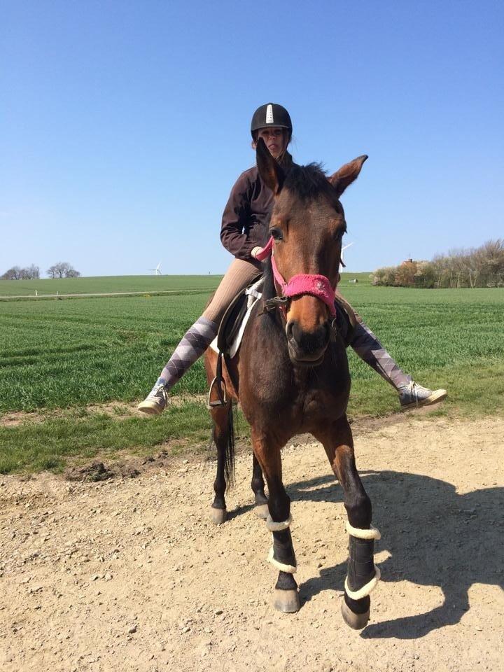 Traver Only Epice billede 7