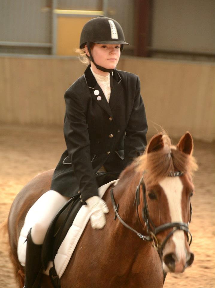 New Forest Kærgaardens Mynte billede 5