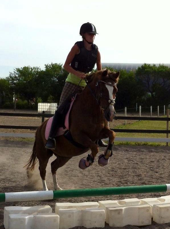 New Forest Kærgaardens Mynte billede 4