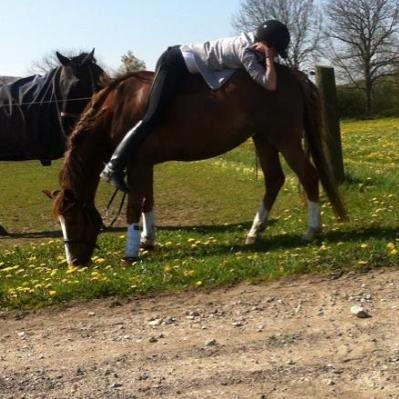 New Forest Kærgaardens Mynte billede 1