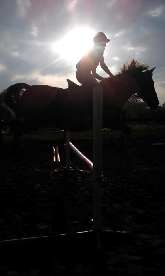 New Forest Kærgaardens Mynte billede 9