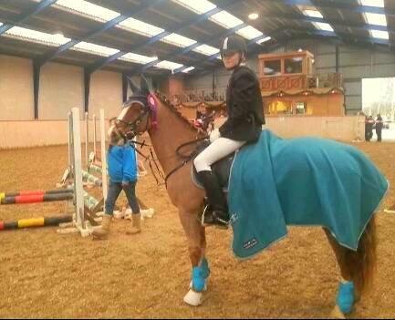 New Forest Kærgaardens Mynte - B0 med hurtigst tid og fejlfir billede 16