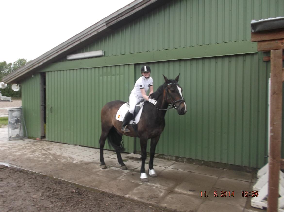 Oldenborg Pirana - Velkommen til Pirana´s profil  billede 1