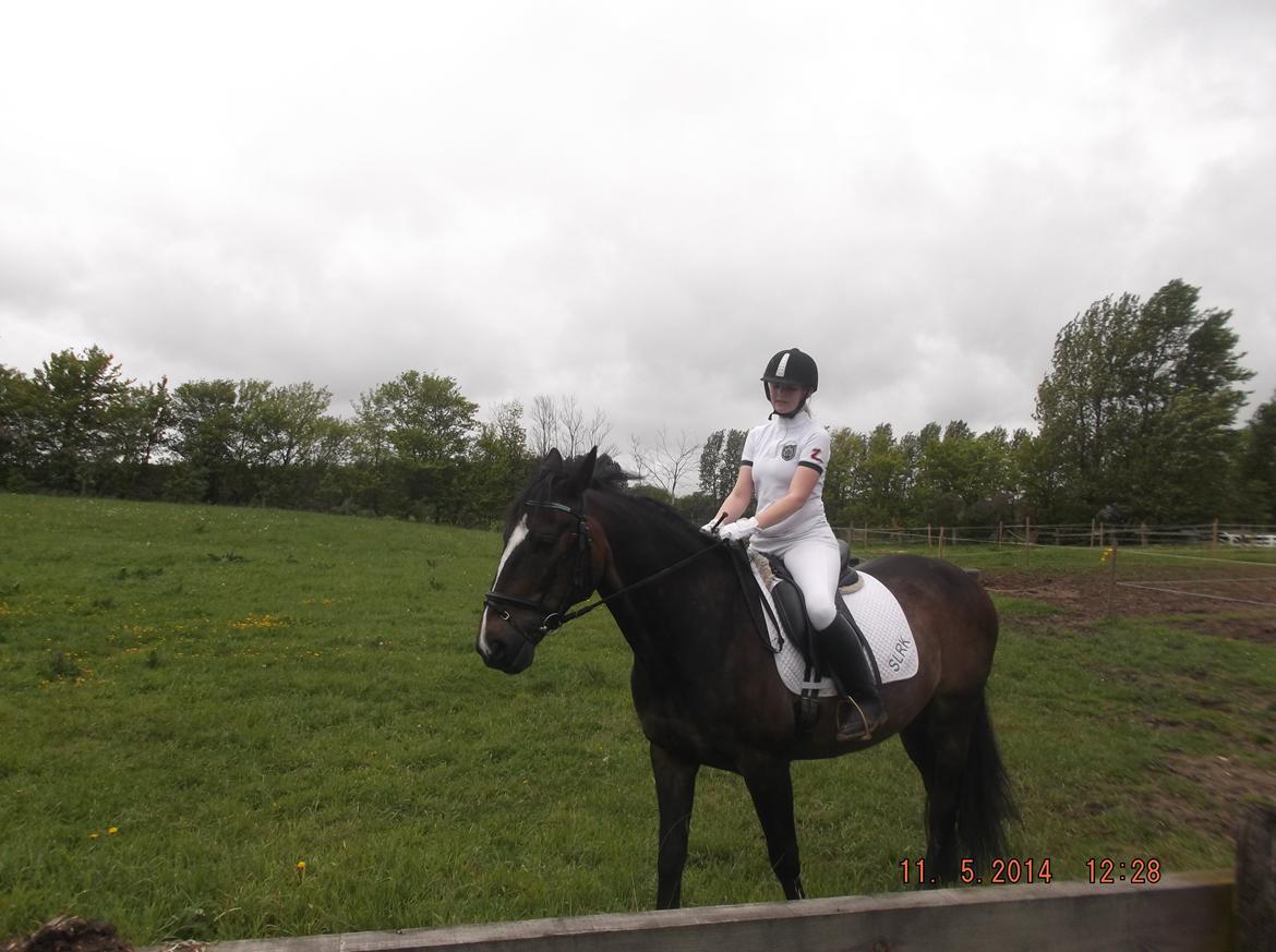 Oldenborg Pirana billede 3