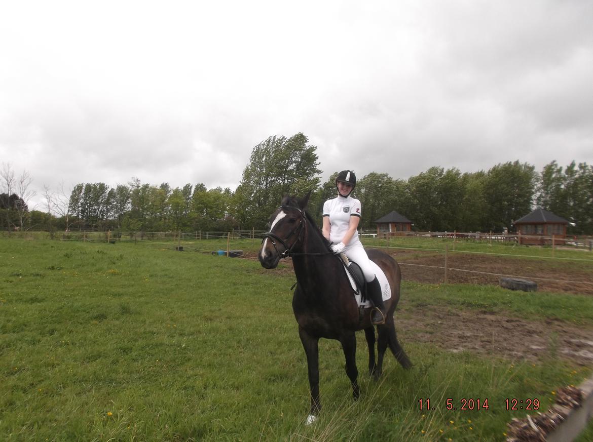 Oldenborg Pirana billede 4