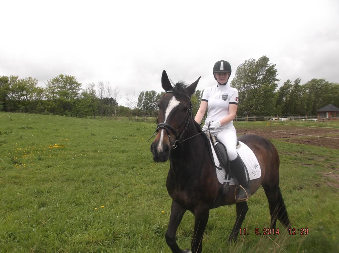 Oldenborg Pirana billede 5