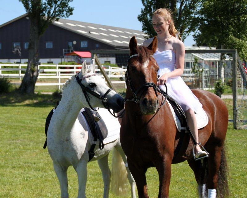 Connemara Quiva <3 - Verdens bedste <3 - 29/5-14 billede 38