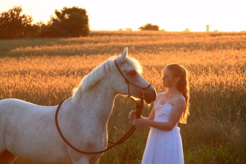 Anden særlig race Raija l Soulmate l <3 - 1 ♥ - Min konfirmation d. 29. maj 2014. Rais var med til at gøre dagen perfekt ♥ ( Foto: Katrine ) ♥ 29. maj 2014 billede 1